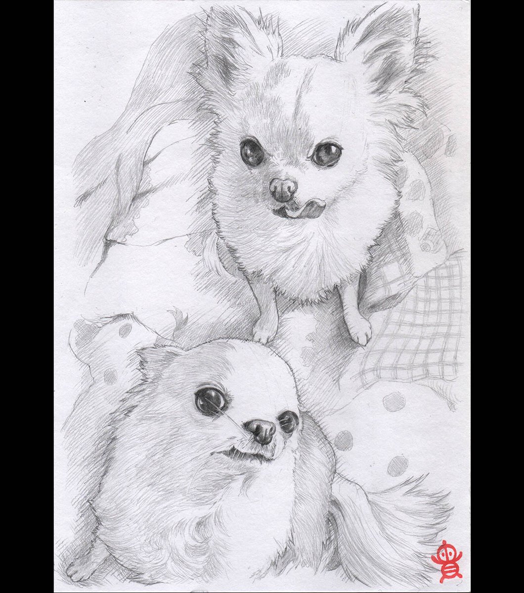 仲良しチワワちゃんの似顔絵を描かせていただきました!✍️
ココナラの作品サンプルのため自主的に描いた物でしたが、仕上がりを飼い主さんにお見せしたらとても気に入ってくださり原画をお買い上げくださいました!
感謝感謝🙏
#鉛筆画 #似顔絵 #絵描きさんと繋がりたい #イラスト好きな人と繋がりたい