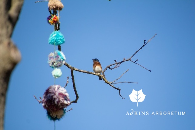 Grant awards, a virtual art exhibit, preschool programs return, and much more! conta.cc/3ckhJ0b