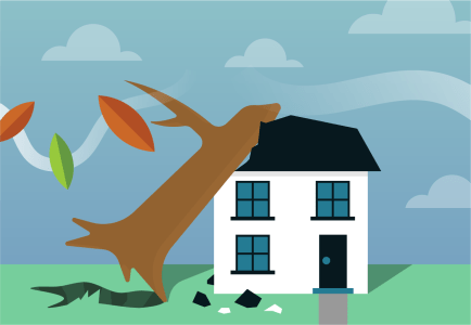 Storm Evert raast over ons land! ☔💨 Hoe voorzichtig je ook bent, soms kun je schade aan je woning of auto niet voorkomen. Zo claim je stormschade op de verzekering: bit.ly/3bBqcx6

#storm #schade #autoverzekering #woonverzekering