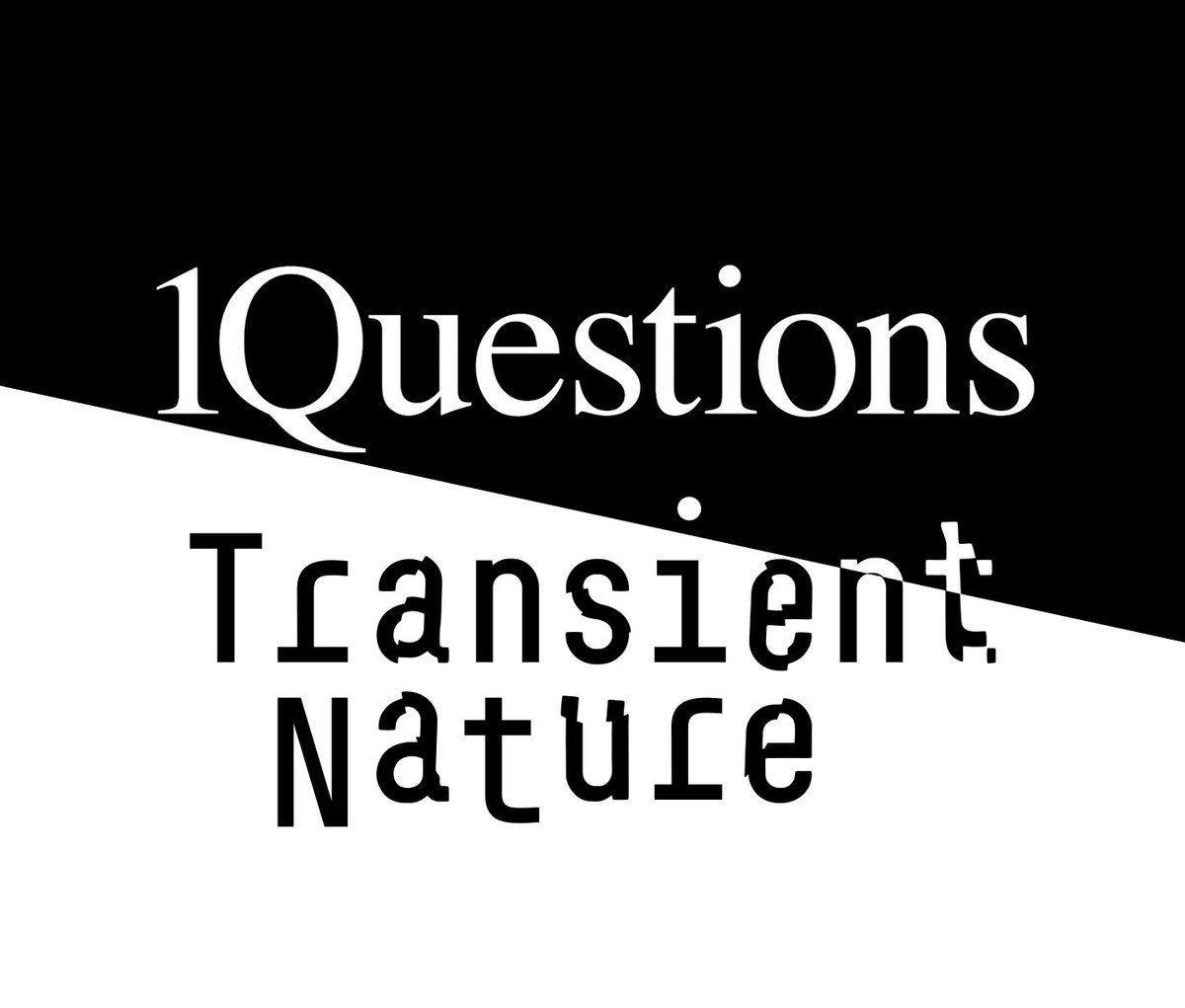 We proudly present two new imprints: Transient Nature Records and 10Questions Go check them out at:
10questions.bandcamp.com 
&amp; soundcloud.com/transientnatur… 🔥
