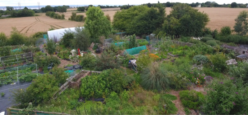 MandyCanUDigIt's tweet photo. Review of Grounded by Liz Zorab - an inspirational tale for gardeners and those with chronic illness. Recommended! #gardening #lessable #books #mentalhealth #permaculture @PermacultureMag @liz_zorab #organic https://t.co/joCygxQDRu https://t.co/EsrQJveTcP