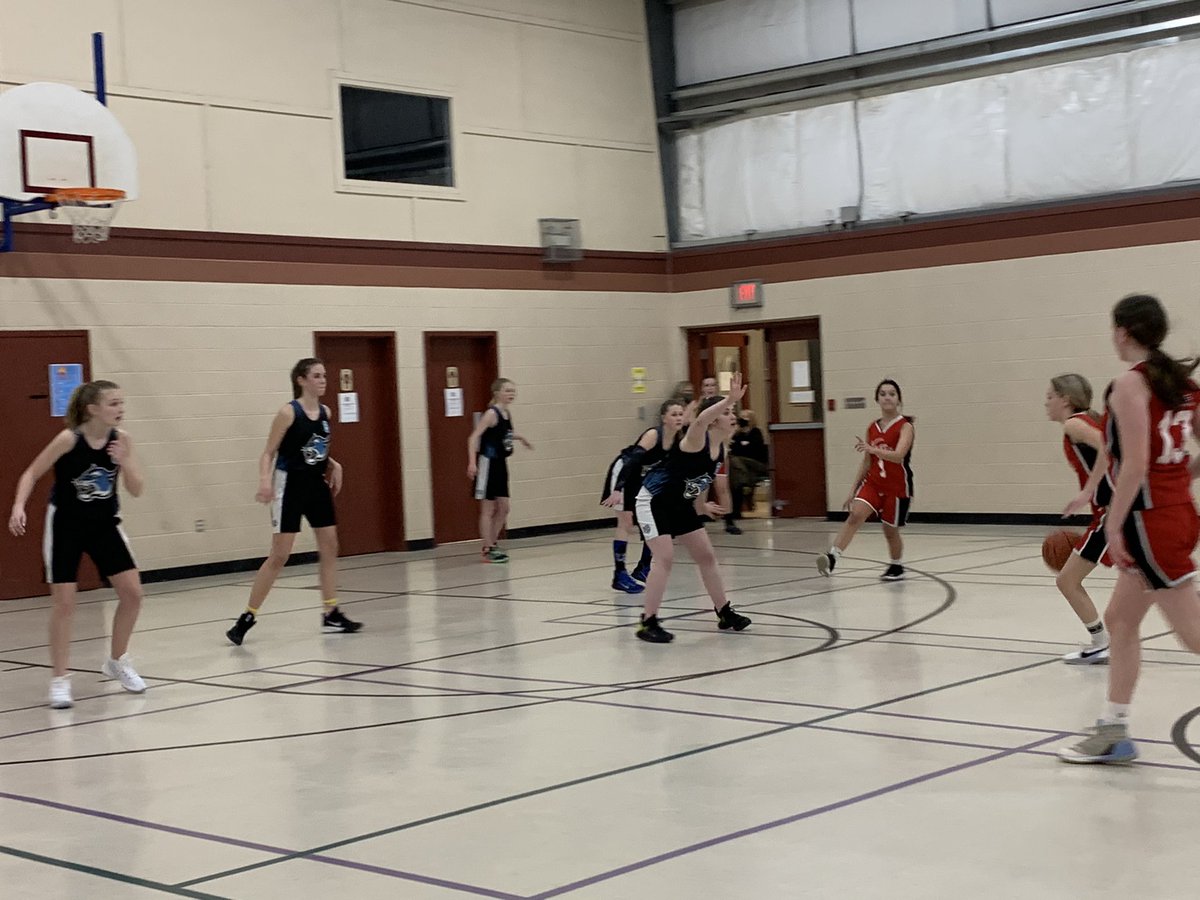 Salisbury Petitcodiac Basketball tweet media