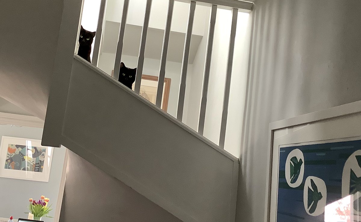 Claire Sullivan tweet media