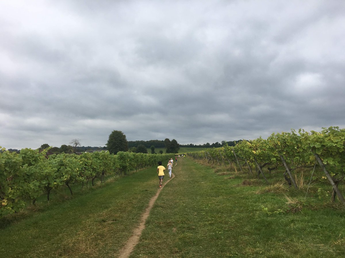 Fancy a running through the beautiful grounds of Denbies Wine Estate? Register now by visiting out website.