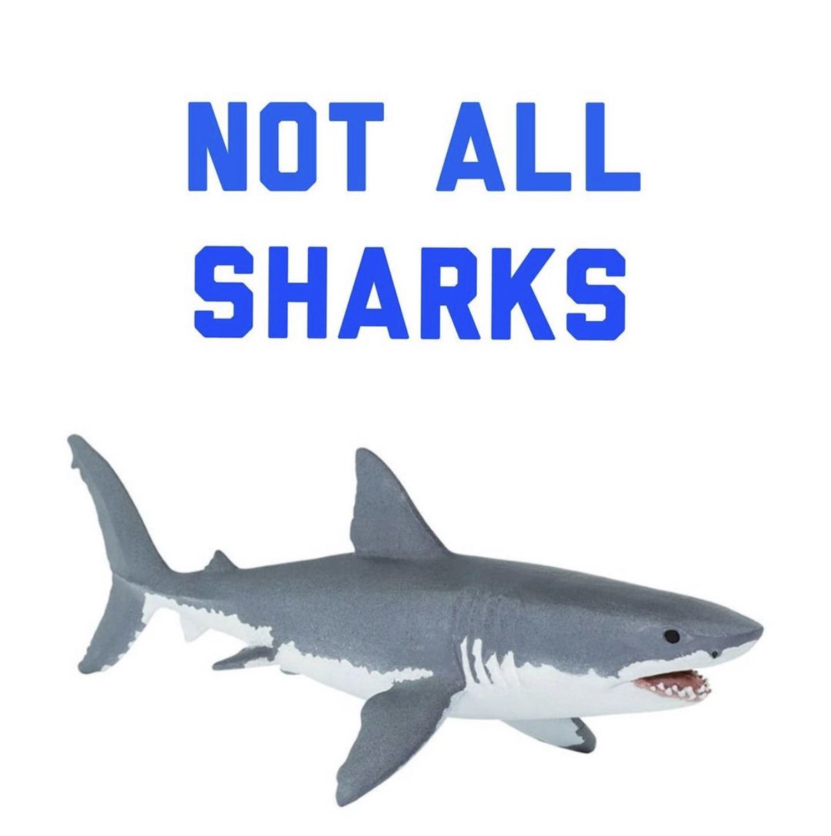 NimkoAli's tweet image. I am starting a new campaign. I mean it’s so unfair to fear sharks. 🤷🏽‍♀️