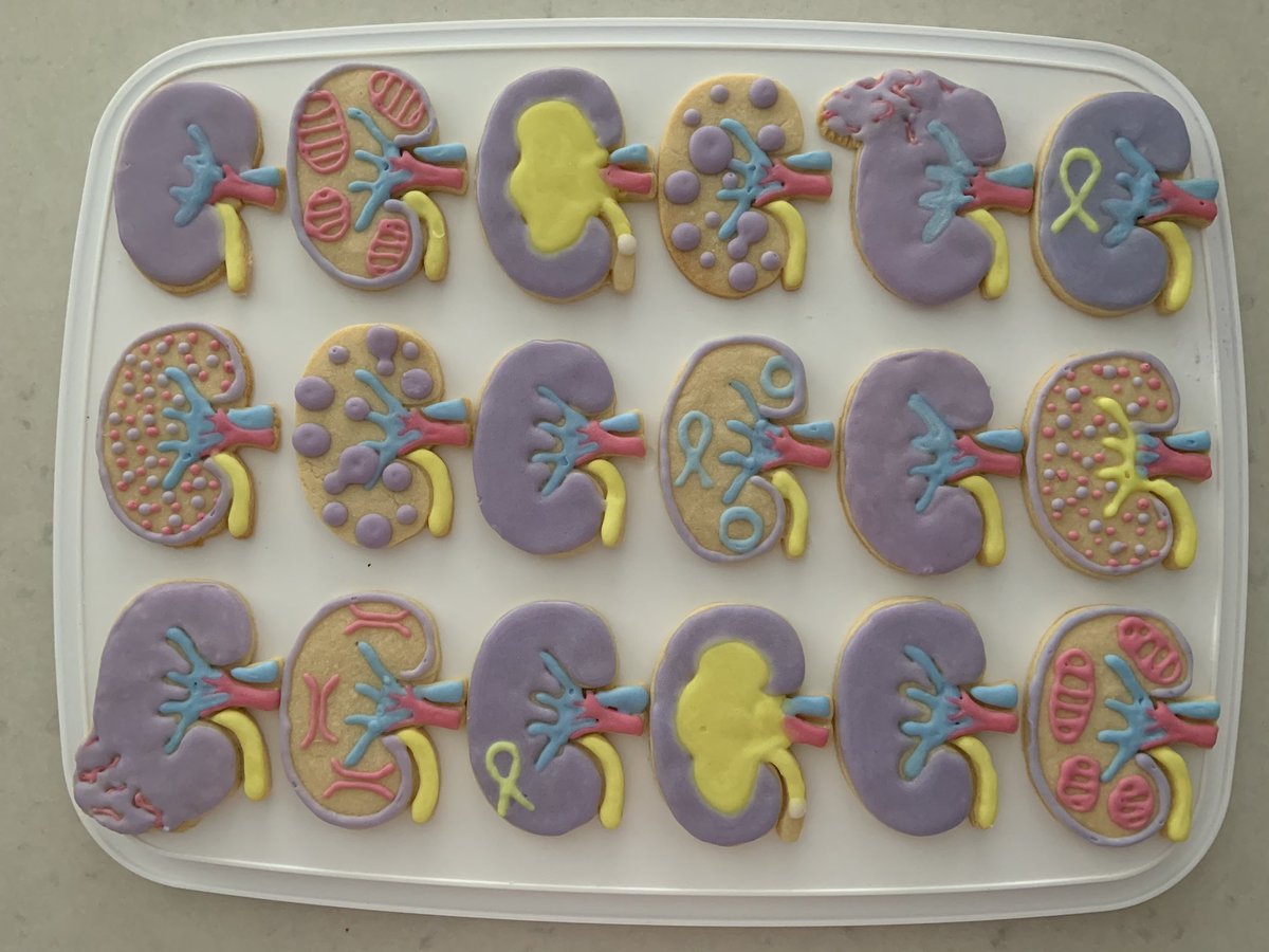 Nephro_Nicki tweet media