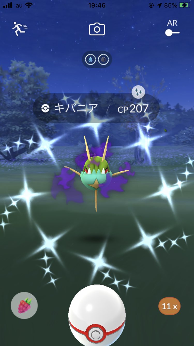 色違いシャドウキバニア Twitter Search Twitter