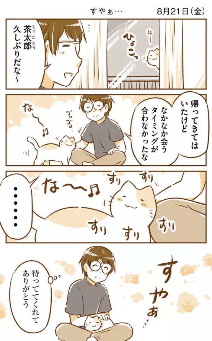 感謝の「すりすり」してくれる茶太郎をお届けします?✨< な〜♪ #GANMA! 