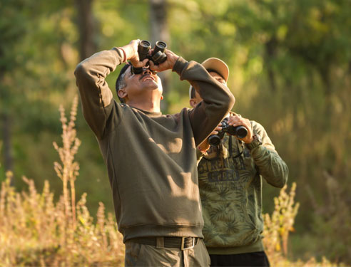 DishaVarma9's tweet photo. Tiger Heavens Tours in Group
#AccommodationinPench #besttigerreservesinIndia #BestWildlifeResortsinPench #hotelsinpenchnationalpark #PenchnationalparkonlineTigerSafariBooking #Penchtigerreserve
https://t.co/M6FL9OqJQ1 https://t.co/EuzFNshCSh