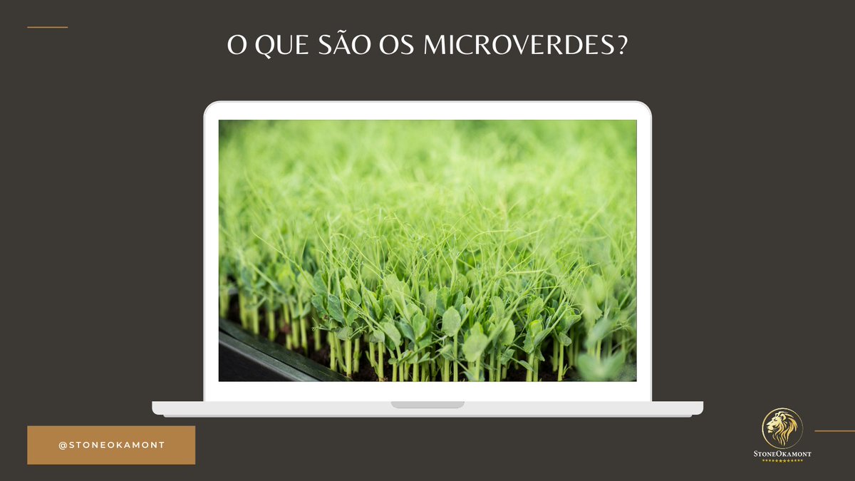 stoneokamont's tweet photo. Os microverdes são um tipo de suplemento nutricional à base de verduras vegetais colhidas logo após a germinação (crescimento). O seu pequeno tamanho se dá por conta da colheita prematura desses alimentos, já que isso os torna mais nutritivos.
#stoneokamont #mapa #microverdes https://t.co/sudy4AIVzL