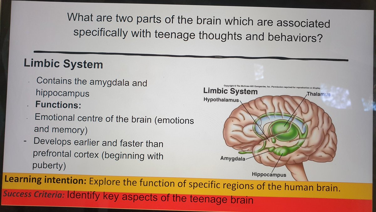 zacha.stewart tweet media