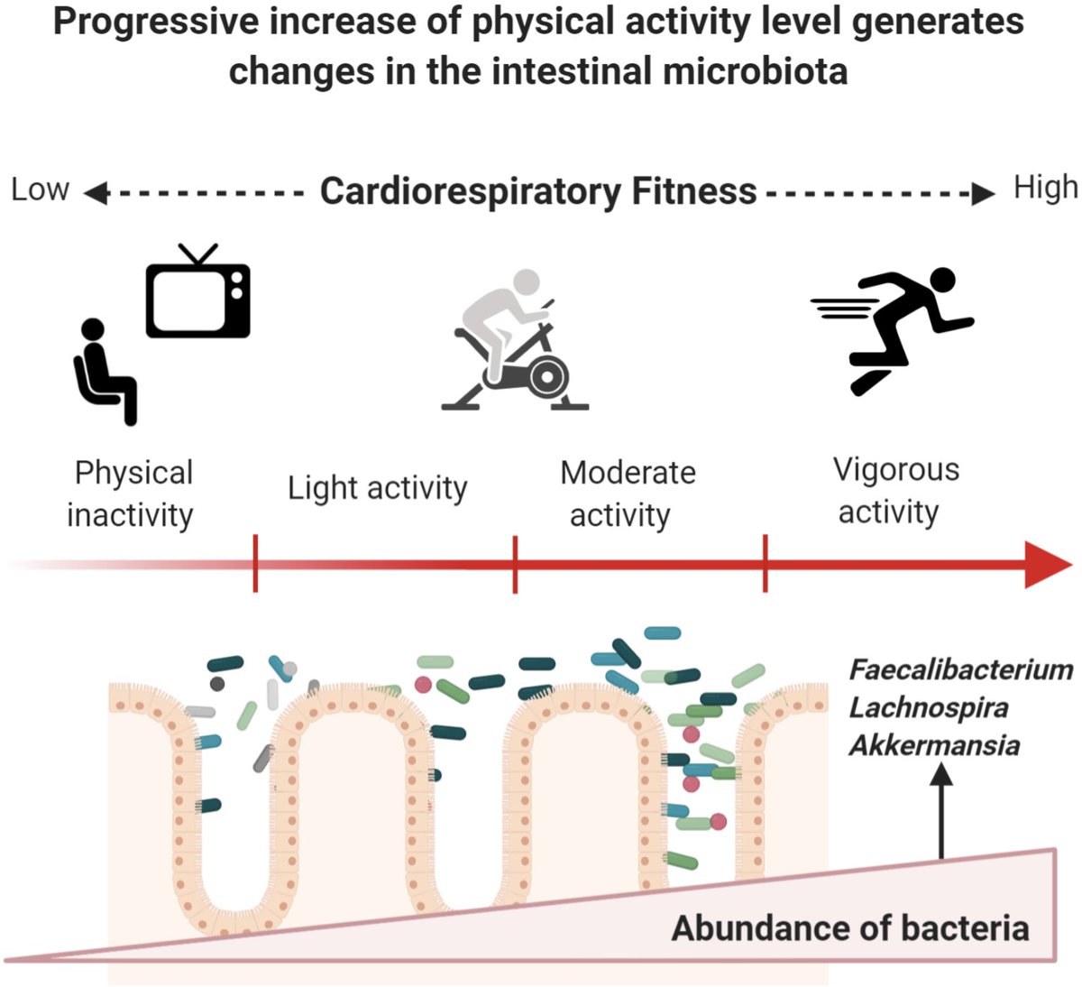 New systematic review on the impact of exercise on gut microbiome. Although exercise may induce changes in gut microbiota through enhanced cardiorespiratory fitness in previously inactive subjects, major caveats in the field exist (e.g. confounders) ow.ly/XfN930rAbsr