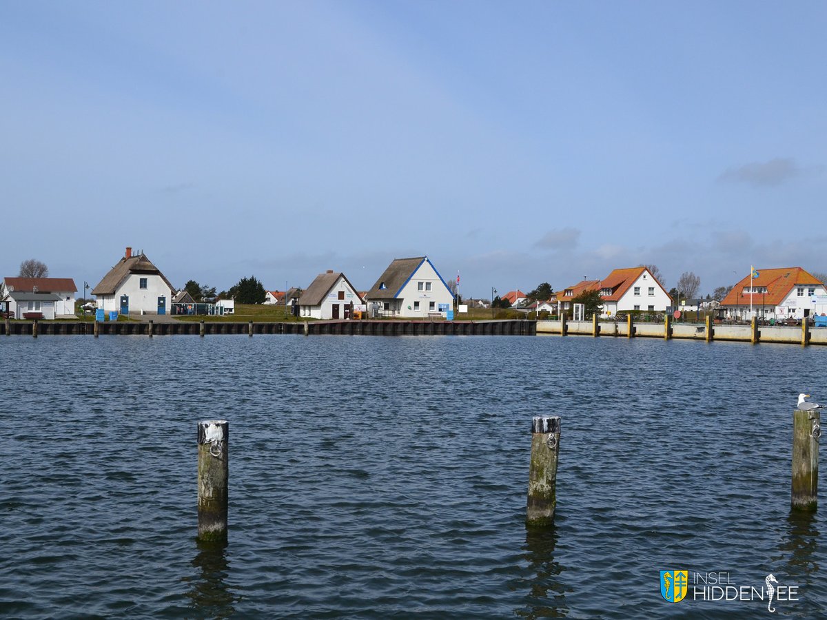 Guten Morgen!  ☕️ 
Einen guten Start in den Freitag aus dem verschlafenen Hafen von Neuendorf. 

#hiddensee #seebad #inselhiddensee #neuendorf #Ostsee #mvtutgut #bleibtgesund