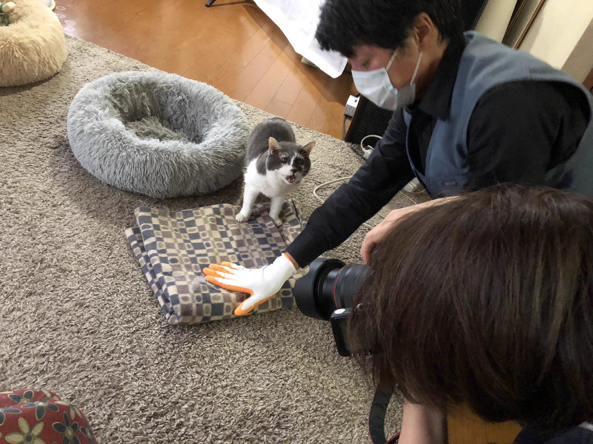 ペットがいるお宅は必見！ゴム手袋でベッドや毛布をなでると抜け毛がたくさん取れる！