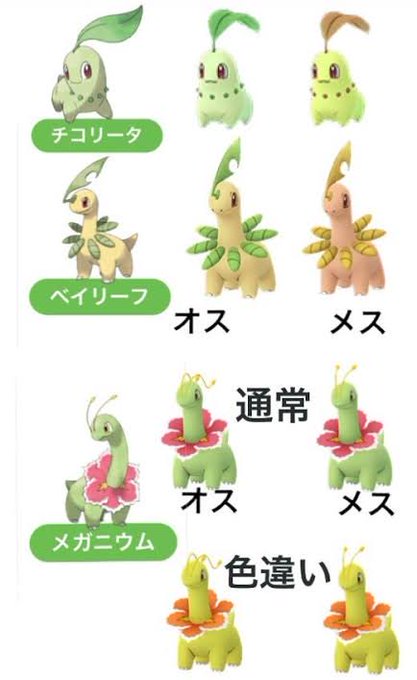チコリータのtwitterイラスト検索結果 チコリータのtwitterイラスト検索結果