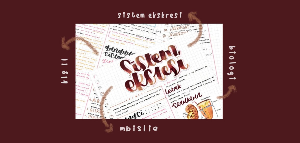 mbislie's tweet photo. Sistem ekskresi
Kelas 11 semester 2
Sumber : pahamify + materi78 + LKS intan pariwara

Semoga membantu ❤️ https://t.co/F3kaIgROzJ
