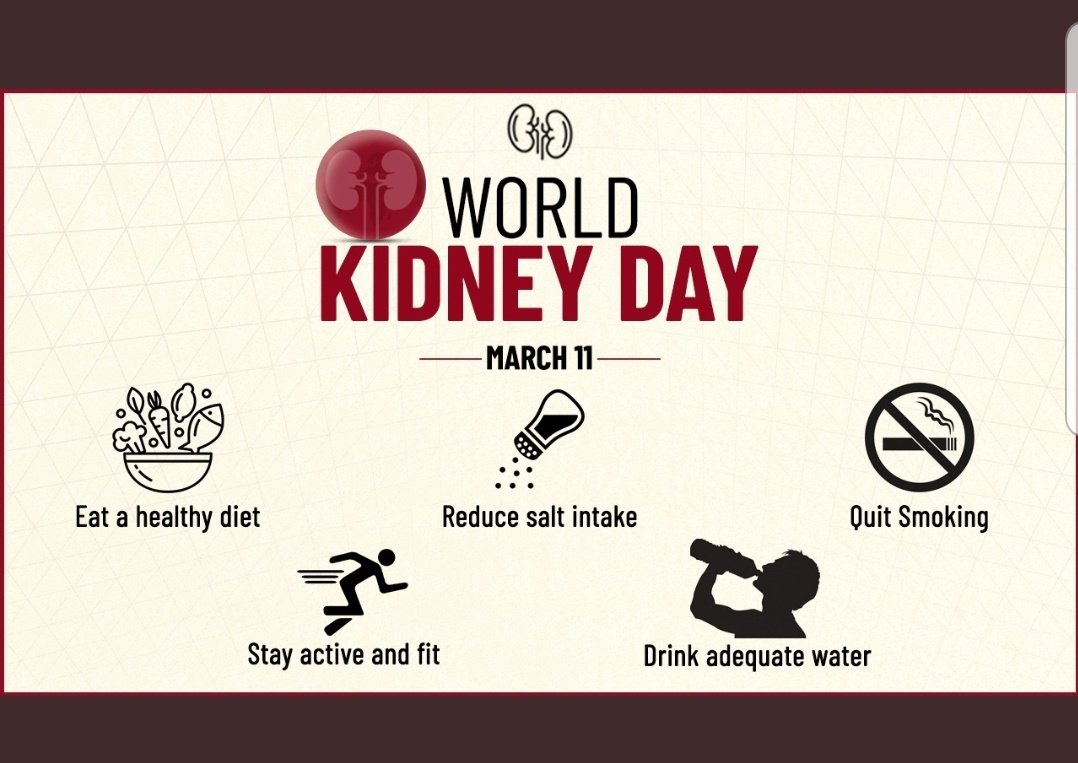 #worldkidneyday2021 
امروز به نام روز جهانی کلیه نام گذاری شده است. بیماری های کلیوی هنوزم جز ده عامل اصلی مرگ و میر در جهان است. سه ریسک فاکتور اصلی بیماری کلیوی دیابت، فشار خون و چاقی است. 
مواظب کلیه هاتون باشید.