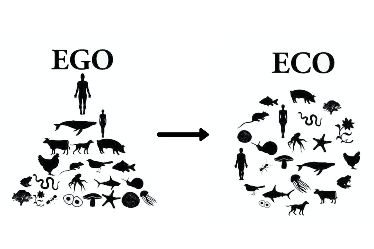 Раздуть эго. Эго. Эго рисунок. Eco Ego. Эго психология картинки.