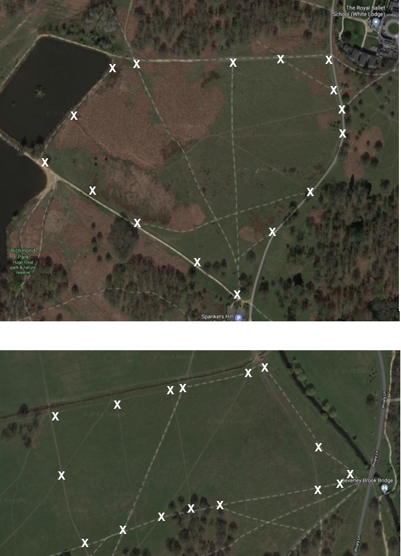 theroyalparks's tweet photo. These are the #skylark nesting areas in #RichmondPark - Lawn Field between Pen Ponds &amp; White Lodge, Crown Field between the sports pitches and White Lodge/Bone Copse. In these areas please stick to paths &amp; keep dogs on a short lead so we can give them the best chance to breed. https://t.co/AEnY6L6i5d