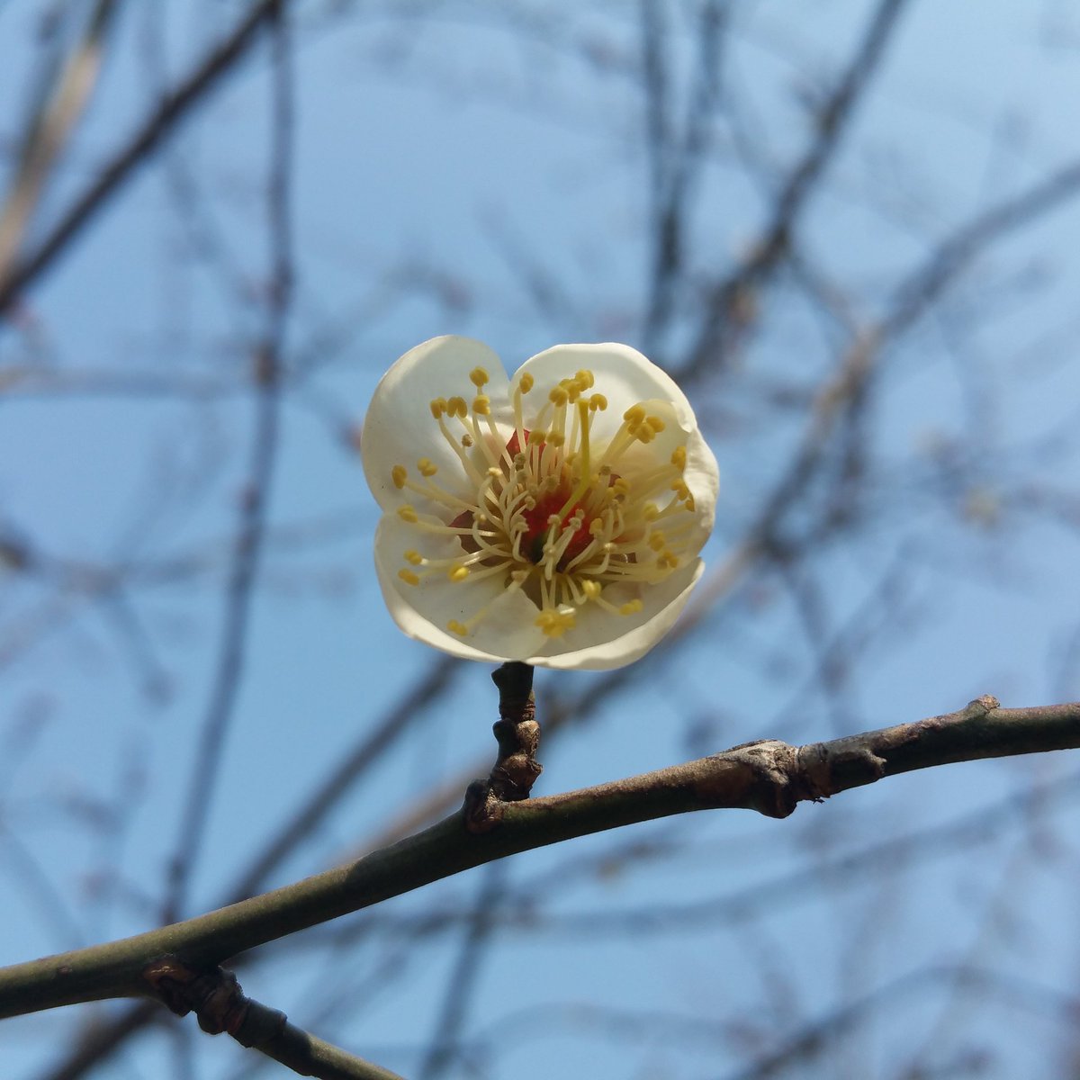 Invierno_al's tweet image. 5호선 마포역에서 지하철을 타서 5호선 공덕역에서 내려 6호선을 탄다고 걷다가 다시 5호선을 탔다. 그것도 같은 방향을ㅠㅠ그래도 봄이다.