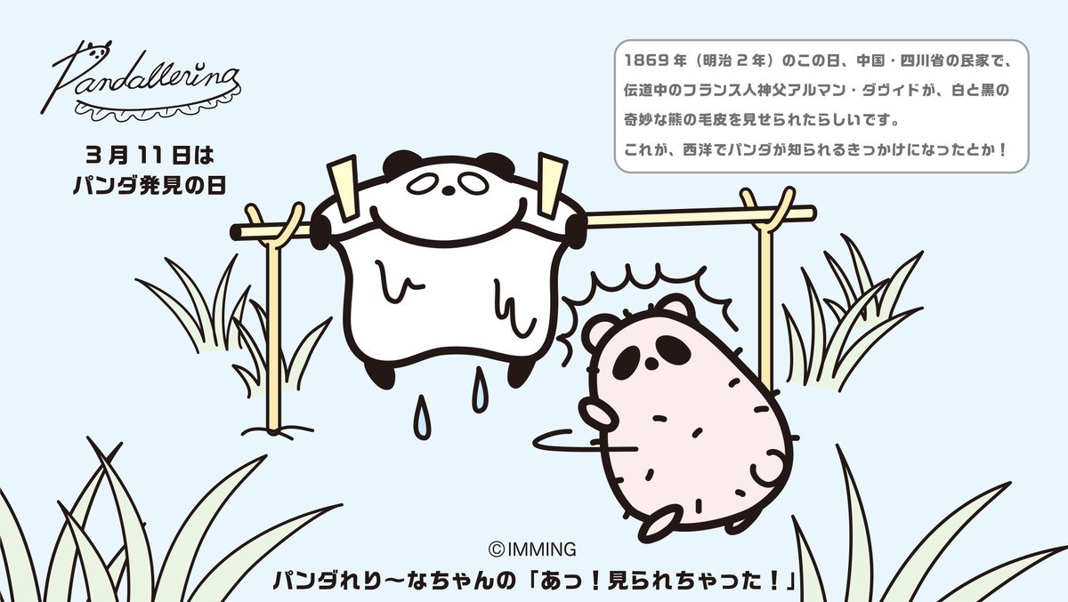 パンダれり な