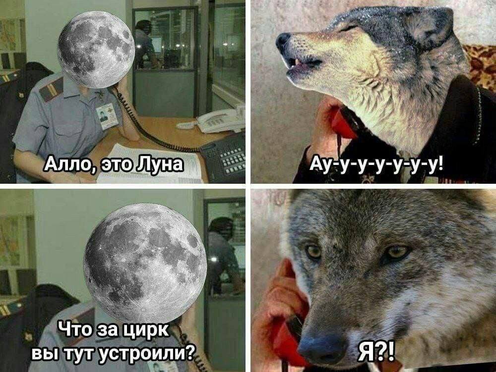 HOHCEHC's tweet image. 