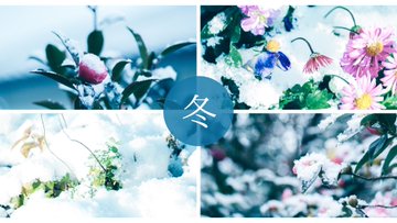 私が写真集をつくるなら 写真集みたいにおしゃれなコラージュがつくれるスマホアプリをご紹介 By Curbon Curbon 写真と歩むライフスタイル Note