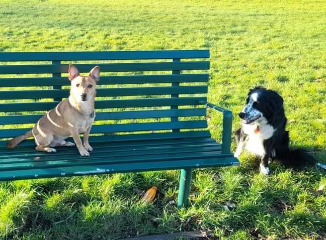 TakingRoot3's tweet photo. Thanks to all who took part in our #placestosit #mapping challenge!Β We received fantastic data + photos! Now you're allowed to have a coffee with a friend on a bench why not use our map to sit somewhere new + enjoy the local greenery?! #Bootle #Sefton π https://t.co/TEfDgkc5QZ https://t.co/5MlIAVZt7j