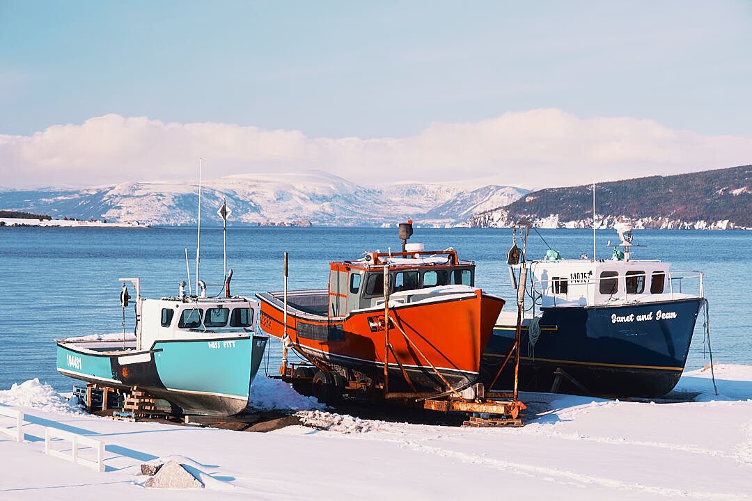 From Frenchman’s Cove in the Bay of Islands, Western Newfoundland! #fujifilm #xf1680 #xt4 #classicnegative #frenchmanscove #longliner