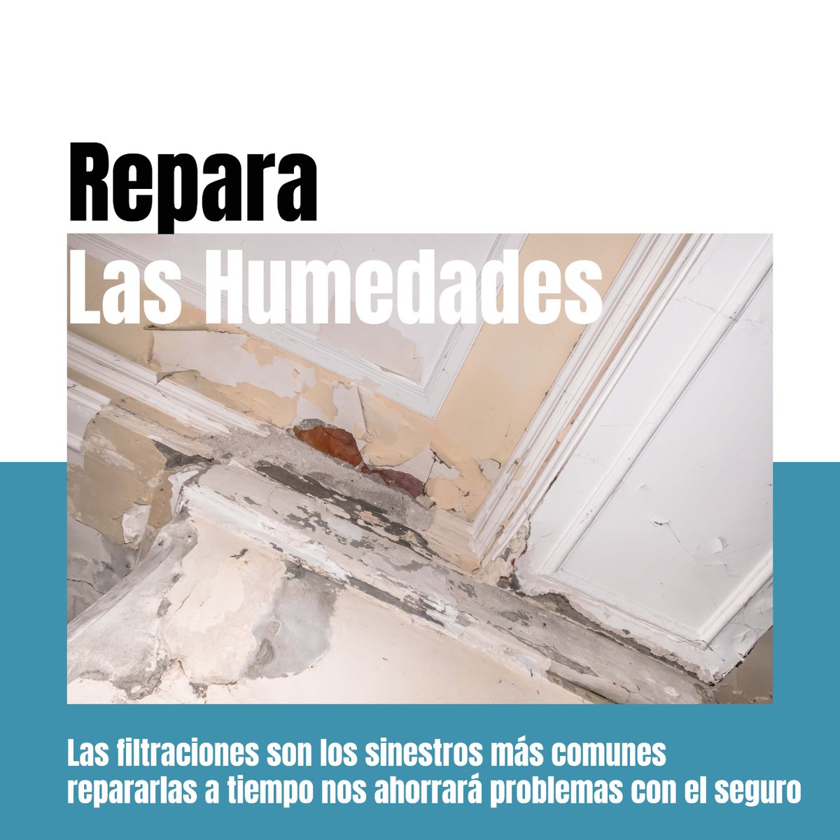CorreduriaBC's tweet photo. PROTEGE TU HOGAR EN ÉPOCA DE LLUVIAS:
Con estos sencillos tips 💡
- Recoge los toldos
- Repara las humedades
- Limpia desagües
- Poda tus árboles
- No recargues los enchufes

#correduriabc #informacion #corredordeseguros #hogarinteligente #lluvia #tromenta #atencion #peligro https://t.co/ecQBumRd0N