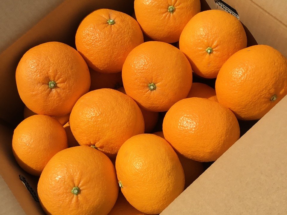 aki_rina's tweet image. 柑橘好きな方…！熊本県のミカン、不知火が6トン、紅甘夏が2トン余っているそうです。私は美味しかったとリピーターも出ている不知火（しらぬい）を3kg注文しました。貢献できる量は少ないかもしれませんが、多くの方に届きますように。#農家漁師からのSOS

▼ミカンはこちら
tabechoku.com/producers/2334…