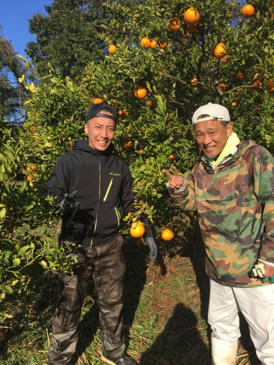 aki_rina's tweet image. 柑橘好きな方…！熊本県のミカン、不知火が6トン、紅甘夏が2トン余っているそうです。私は美味しかったとリピーターも出ている不知火（しらぬい）を3kg注文しました。貢献できる量は少ないかもしれませんが、多くの方に届きますように。#農家漁師からのSOS

▼ミカンはこちら
tabechoku.com/producers/2334…