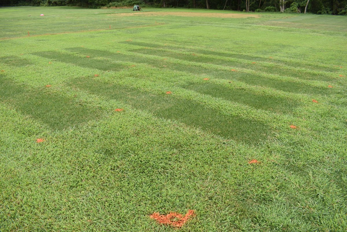 Enjoy the weather today, and then join me, Mike Reed, and Matt Lindner online tonight from 7 to 8 PM. We will discuss grassy weeds and sedge control in L&L thanks to @NJTA_Turfgrass. Register: attendee.gototraining.com/r/285151125004…