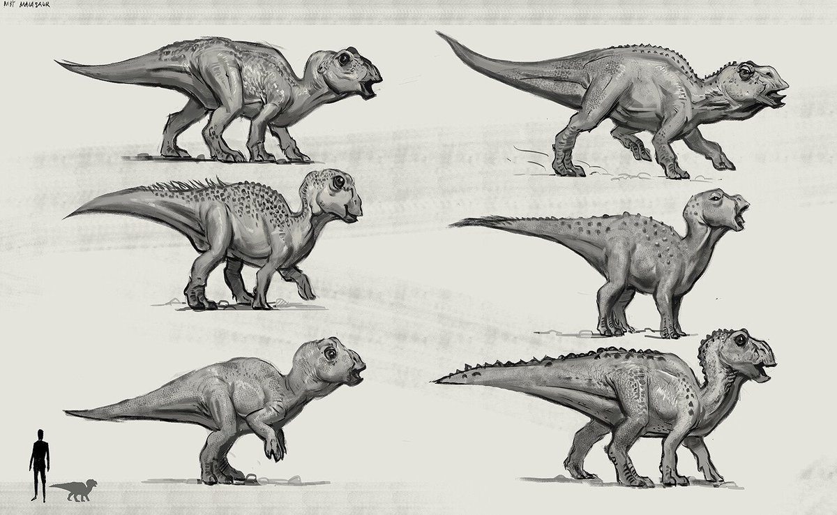 I don't remember seeing this adult maiasaura concept are for JWCC only...