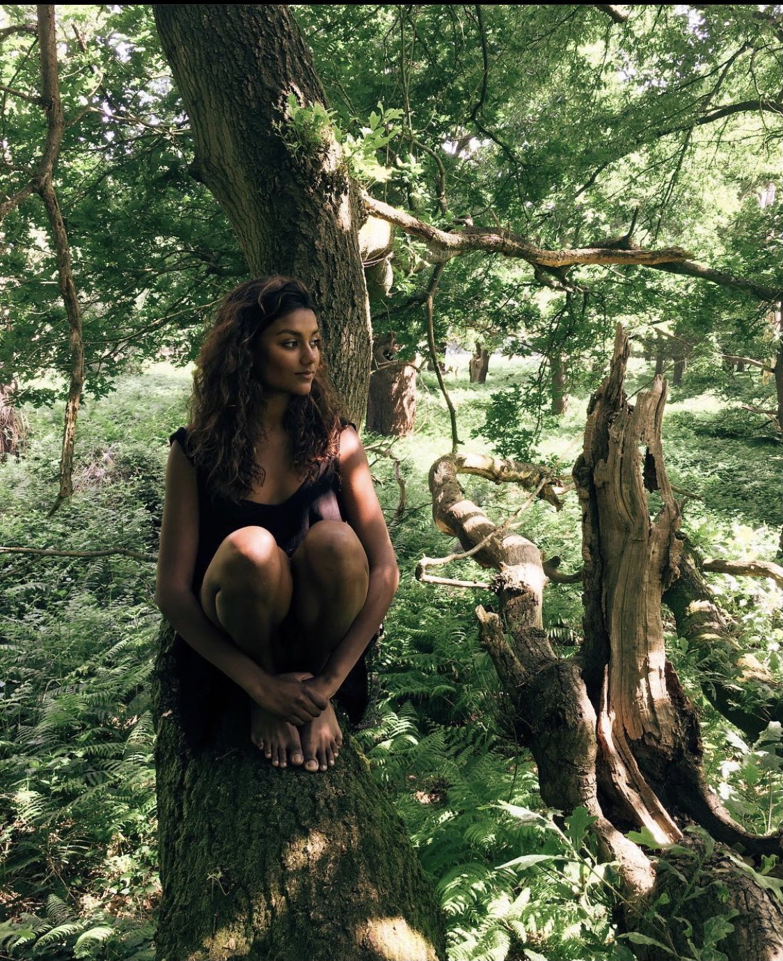 bridgerton bros 🐝 on Twitter "Aubrey Hall vibes 😍 https//t.co