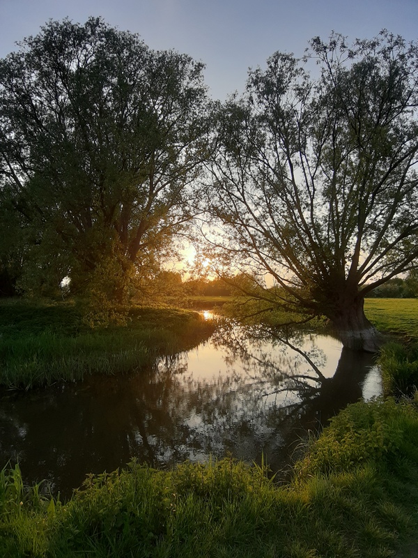 We all valued our time to appreciate nature during lockdown. Long walks, lower levels of traffic, nature came back. What did you find that helped you through the last year? Oxford staff/students please share your reflections and see those of others: lwf.it.ox.ac.uk/s/lockdown/pag…