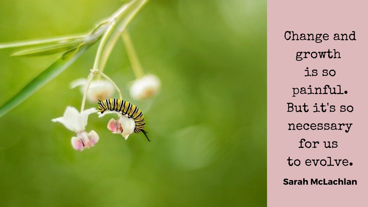 Recovering from mental illness is a journey of change. You will find you are stronger, more resilient and you will appreciate the little things in life so much more than you previously did. It's not an easy road, but it is enlightening.

#Hugs #MentalHealthAwareness #recovery