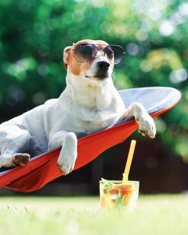 Wharf7_DI's tweet photo. Bring your sweet fur babies to the pet park tonight at 6pm for some play time, a few treats and toys. We will also be treating our amazing human residents to some cold beverages!
#itsawonderfulwharf
#aptlife
#furbabies
#lovewhereyoulive
#weloveourresidents
#diliving
#Charleston https://t.co/GTXuFdOEJ3