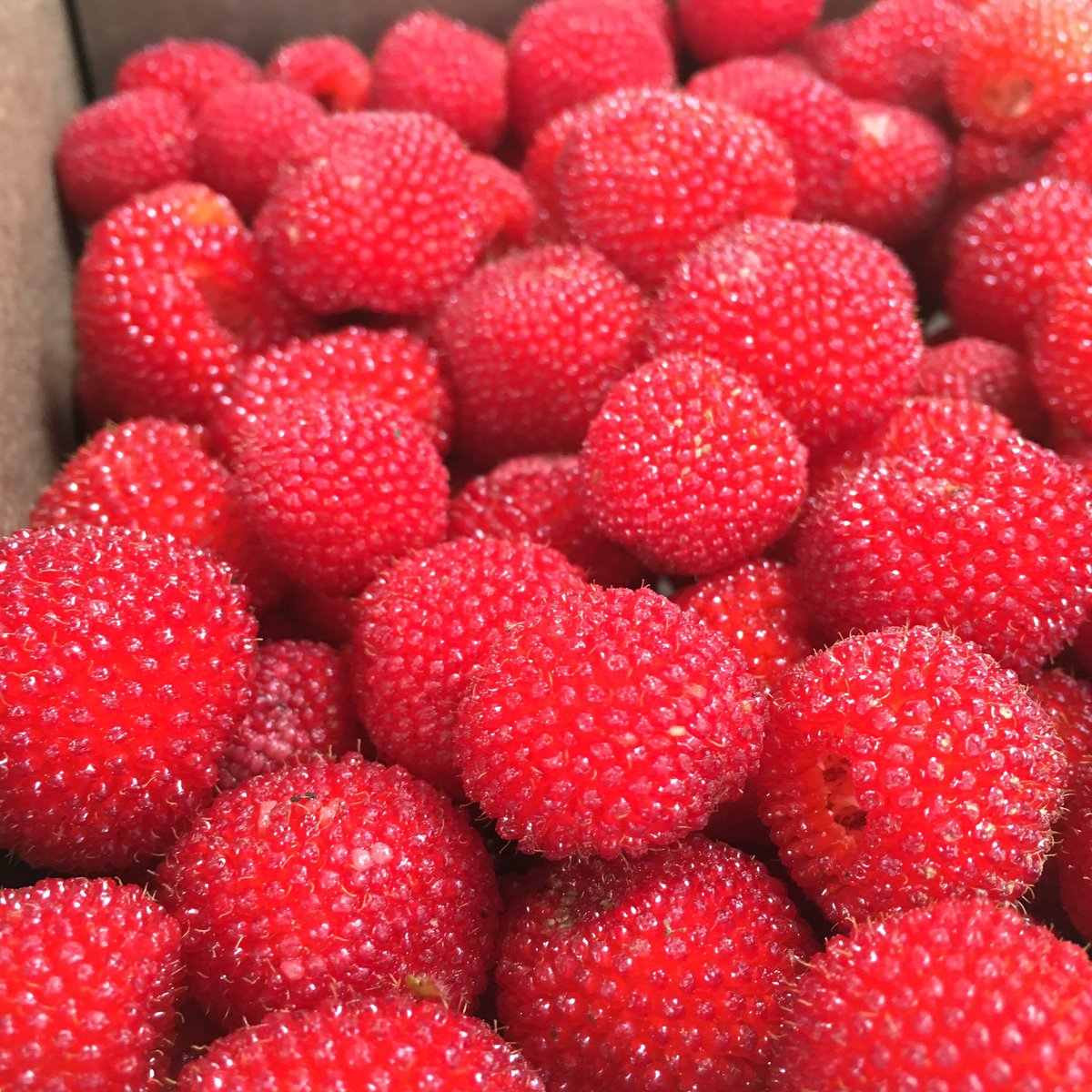 lacoloniatovar's tweet photo. ¡Lo mejor en productos del huerto! 

Te esperamos en el mercadillo de hortalizas de la Colonia Tovar todos los fines de semana de 7 a.m. a 6 p.m.

¡Fines de semana NO radicales!

#ColoniaTovar #Aragua #Venezuela
#Turismo #Montaña #FelizDia https://t.co/ZkxkyM5kpz