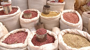 CropLifeKenya's tweet photo. Kenya produces more than 800,000 metric tonnes of beans, but common bacterial blight reduces harvests by 10% to 75%, where spraying with approved pest control products can stop the harm.
https://t.co/zYwQZzTwwU
#DoubleYields #EveryCropCounts #GetInputInformed https://t.co/BL8p1z2csR