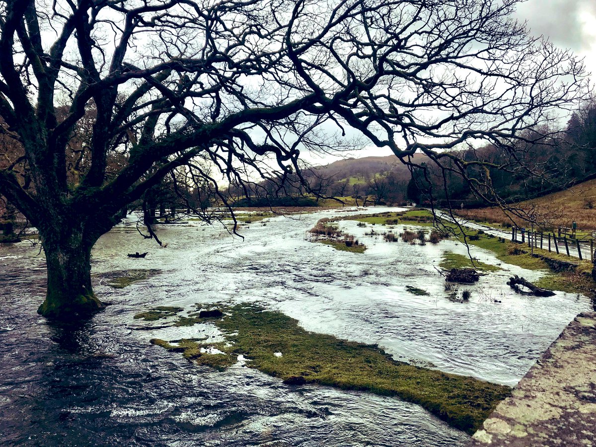LivingTLOL's tweet photo. The rain has abated...for now!
But plenty more to come... 😬Happy Thursday! 😃 @FeatureCumbria @images_lake @AmbleSnap https://t.co/5IgvOjbcI4