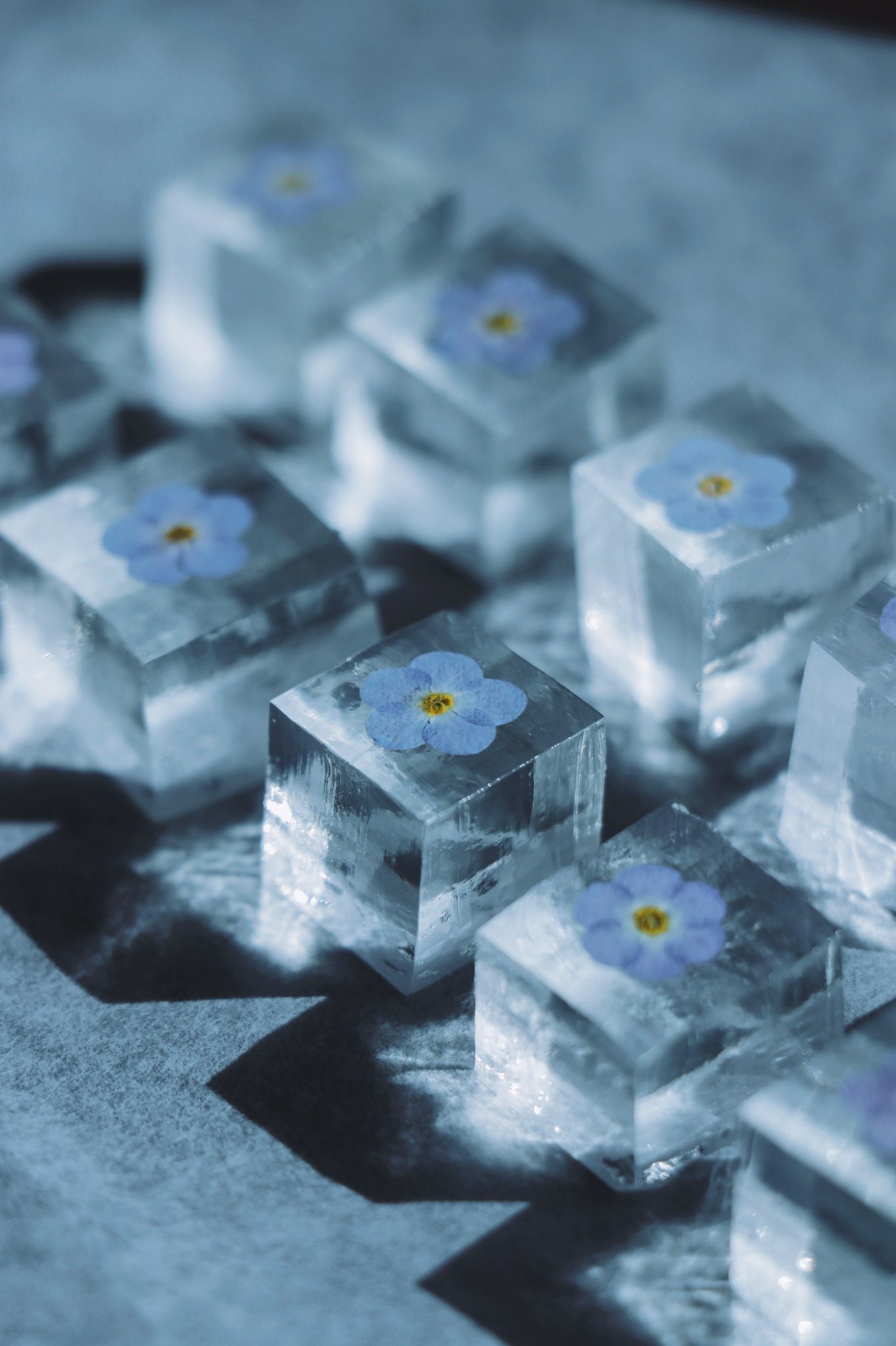 Twitter 上的 Tomei 透明愛好家 忘れな草の琥珀糖 花言葉は わたしを忘れないで T Co Cyrg03vklu Twitter