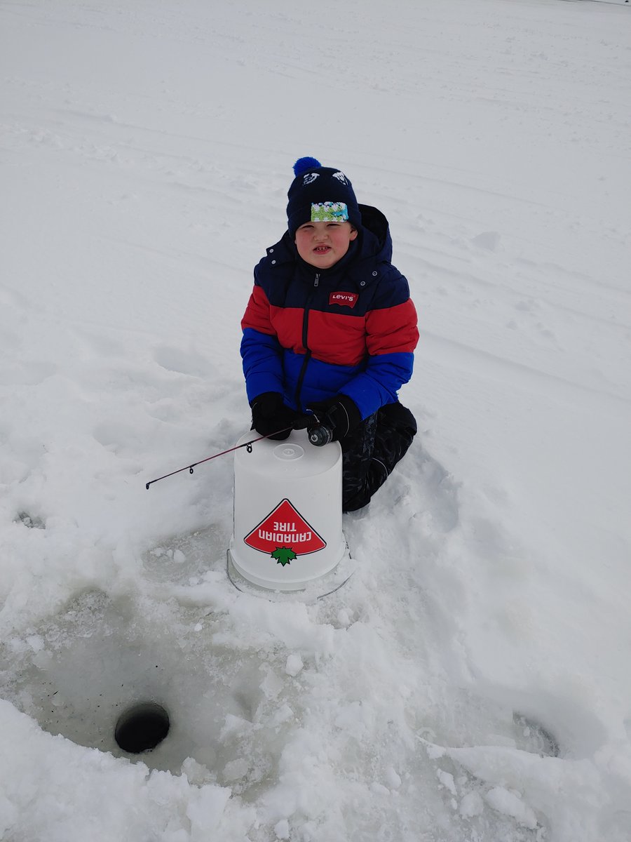 StMattsTigers's tweet photo. Such amazing Winter Moves happening with our St. Matt's Tigers for this week's movement challenge! We love the innovation, physical activities and zest for all things Winter! Well done Tigers! ❄️🐯
#wintermoves @SchoolHealthNL @schoolsportsnl @NLESDCA https://t.co/xemq6pZ7yl