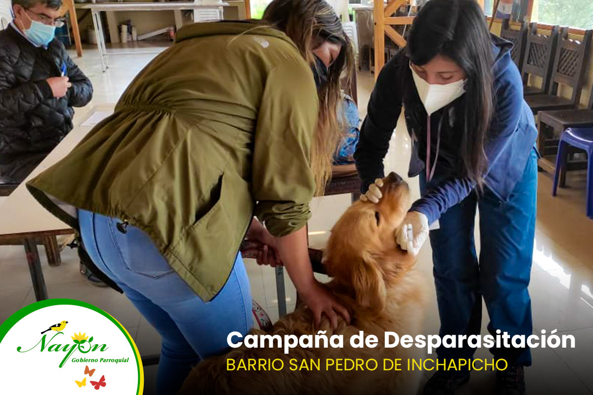 GAD #Nayón informa que el área de salud de la Administración Zonal Norte realizó la campaña de desparasitación en el barrio San Pedro de Inchapicho, agradecemos la coordinación de la directiva barrial y a los dueños de las mascotas.