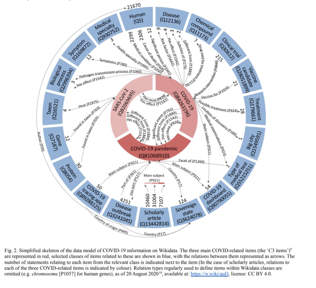 "Representing COVID-19 information in collaborative knowledge graphs: the case of @Wikidata" aspects that make Wikidata the ideal knowledge base for COVID information: flexibility, multilingualism, interconnectedness, multidisciplinarity

(Turki &amp; al 2021)
semantic-web-journal.net/system/files/s…