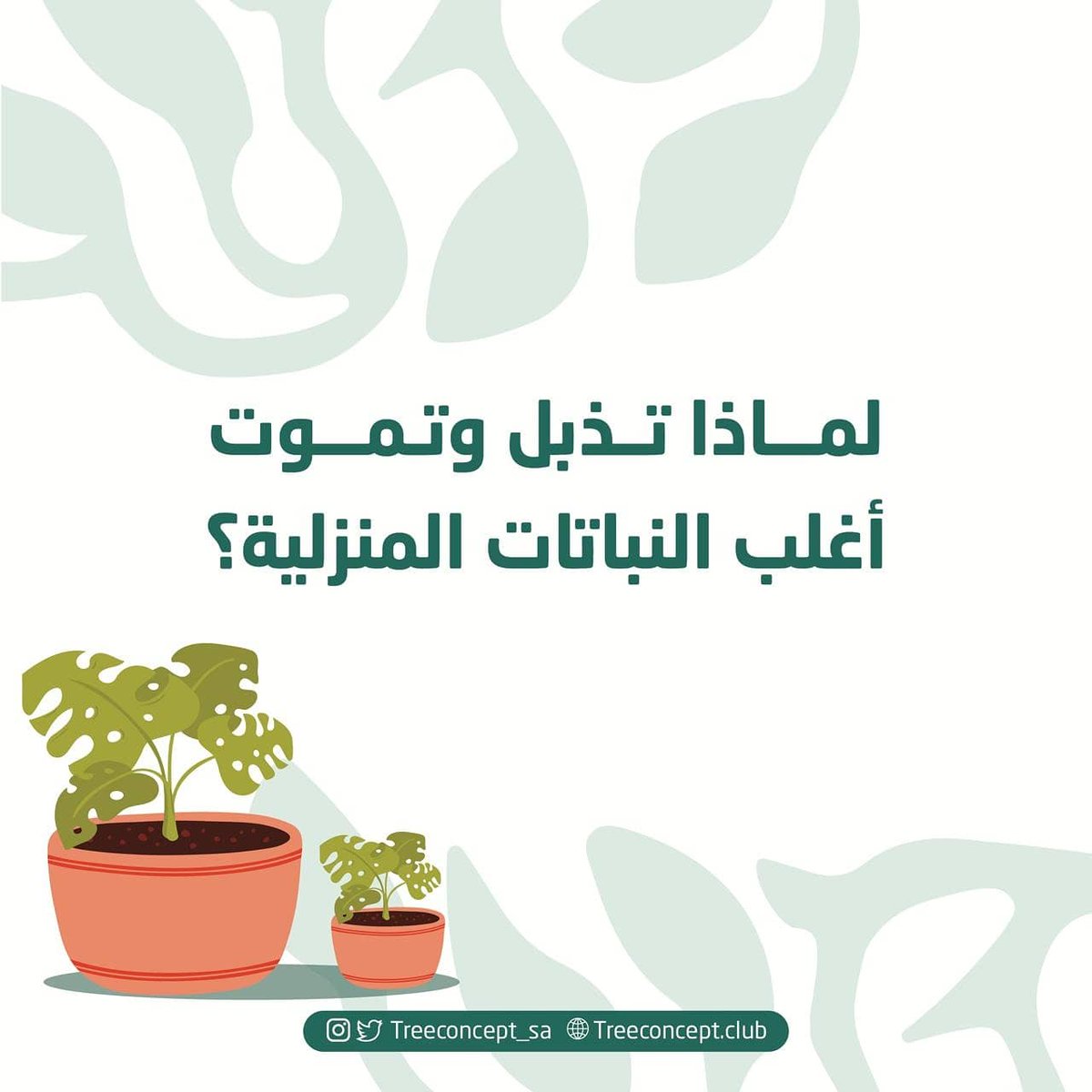 treeconcept_sa's tweet photo. تذبل النباتات المنزلية لهذه الأسباب المذكورة تجنبوها واستمتعوا بنبات دائم الحياة.💫🌿
.
#مفهوم_الشجرة #أصدقاء_مفهوم_شجرة #البيئة #النبات #زراعة_عضوية #زراعة_الأسطح #زراعة #رابطة المزارعين #مزارع #الشتاء #الزراعة_المنزلية #النباتات #السعودية  #plant #green #ecosystem https://t.co/az80cRwAXf