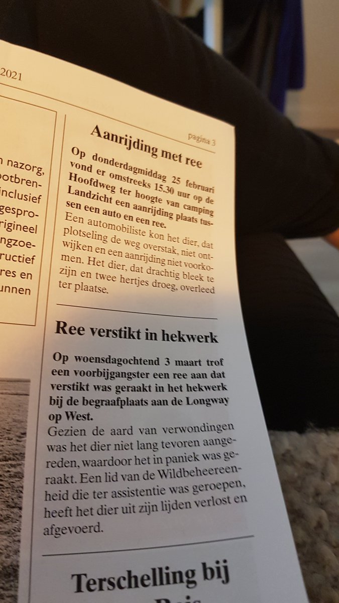 Zonde , 2 reeën dood op t eiland.
Toch teveel verstoring? 
#reeen #terschelling #natuur #wild