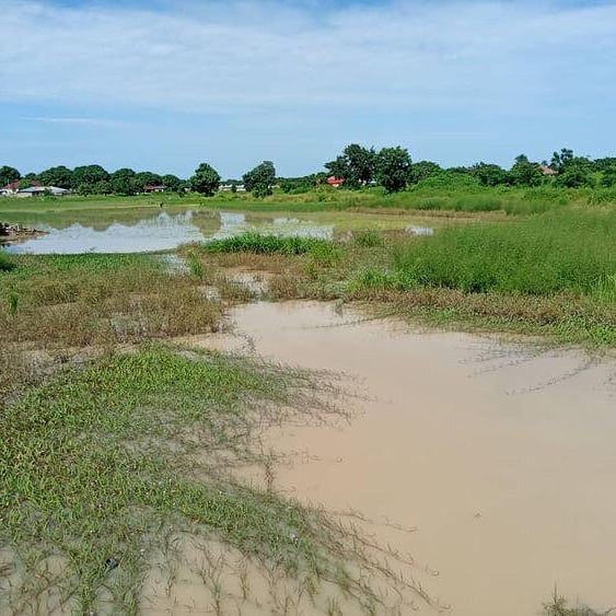 adama32316814's tweet image. 