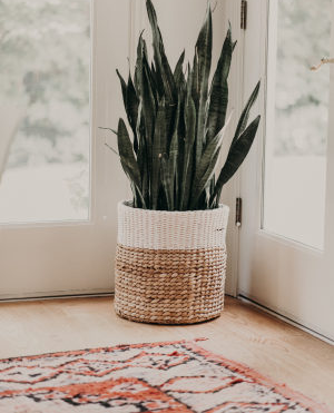 💚 In a perfect world we would all choose a green lifestyle ~