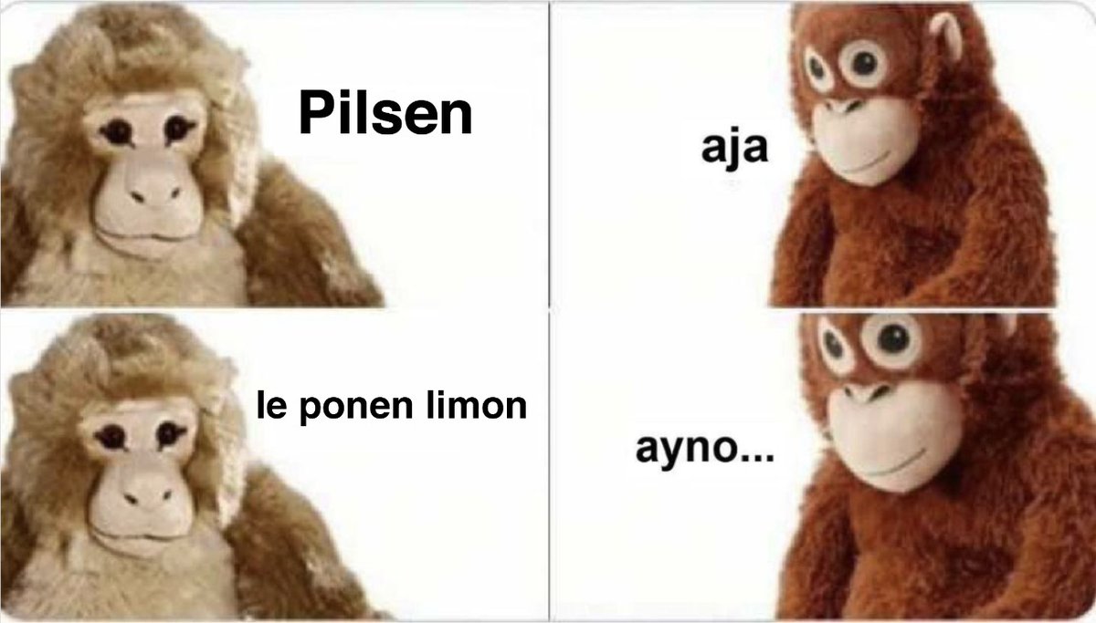PilsenoPilsen's tweet photo. El que sabe de birra, sabe. https://t.co/edUc3Y7bec